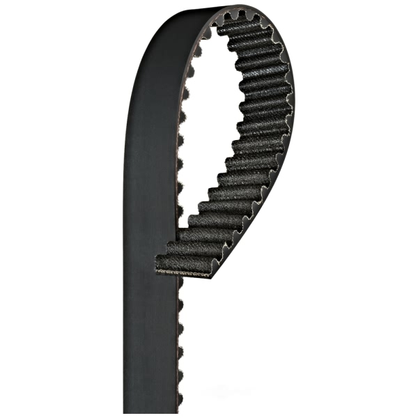 Gates Timing Belt T308