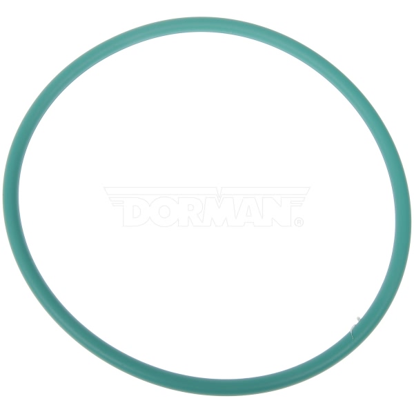 Dorman Fuel Pump Tank Seal 911-245