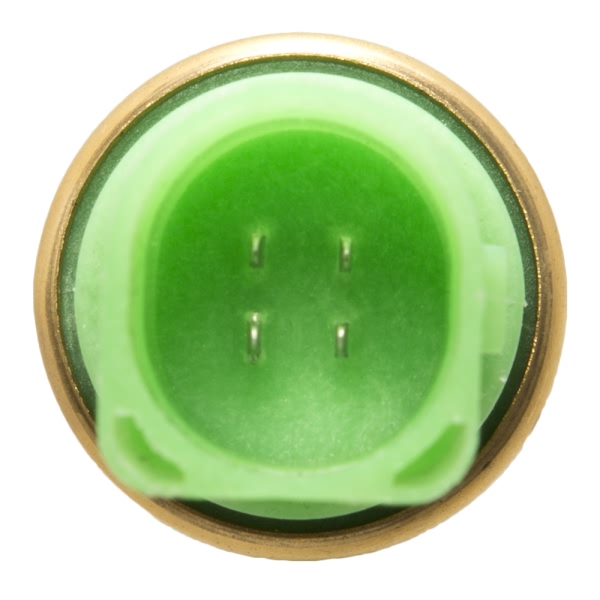 Delphi Coolant Temperature Sensor TS10236