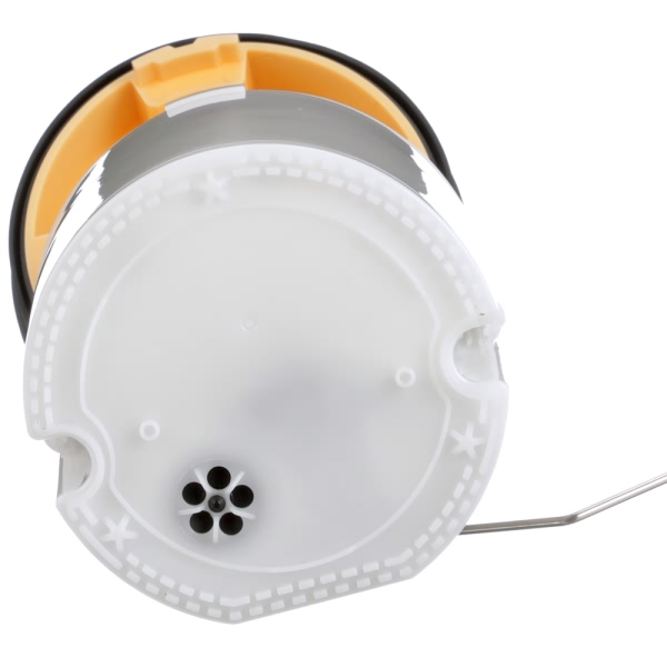 Delphi Passenger Side Fuel Pump Module Assembly FG0979