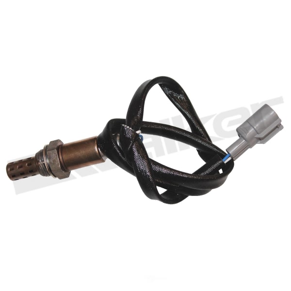 Walker Products Oxygen Sensor 350-32005