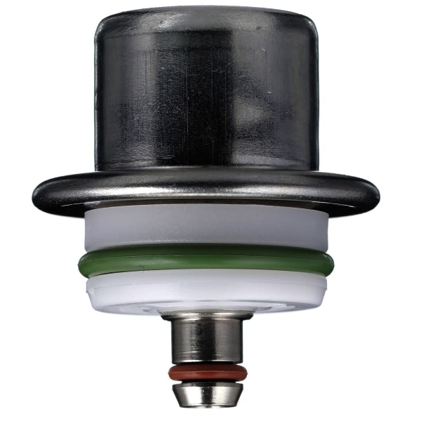 Delphi Fuel Injection Pressure Regulator FP10317