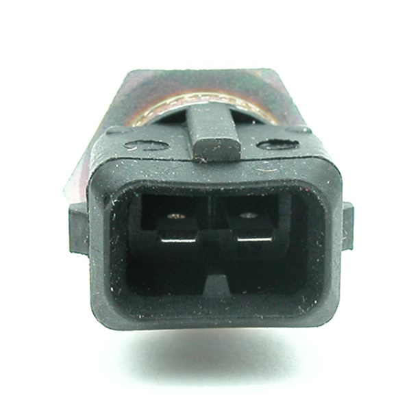 Delphi Air Charge Temperature Sensor TS10046