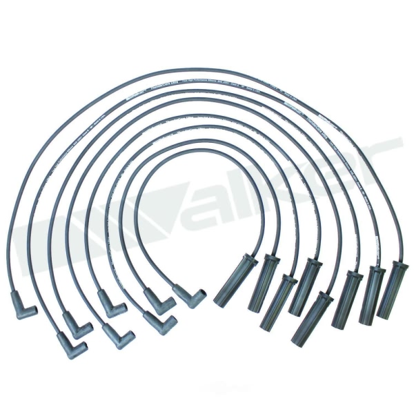 Walker Products Spark Plug Wire Set 924-1408