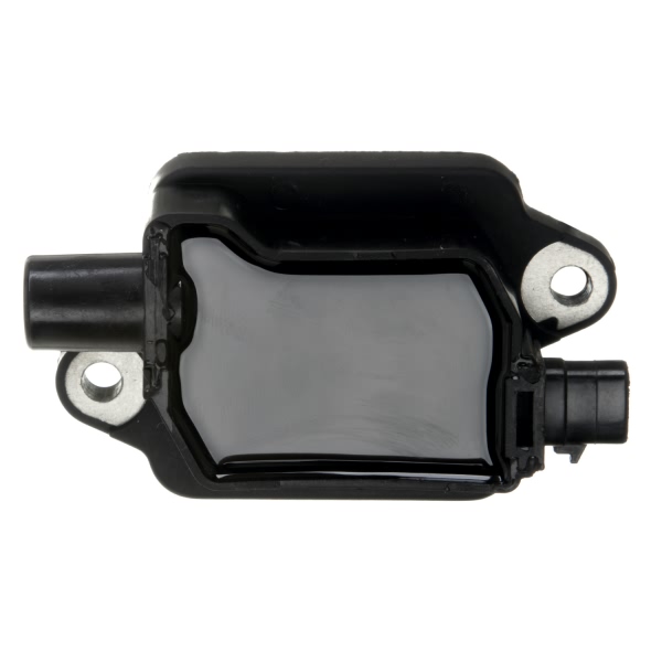 Delphi Ignition Coil GN10307