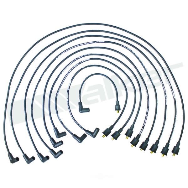Walker Products Spark Plug Wire Set 924-1824