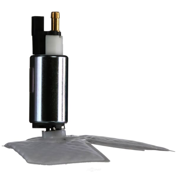 Delphi Fuel Pump And Strainer Set FE0431