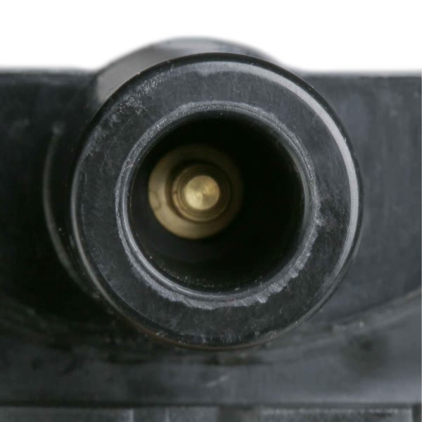 Delphi Ignition Coil GN10381