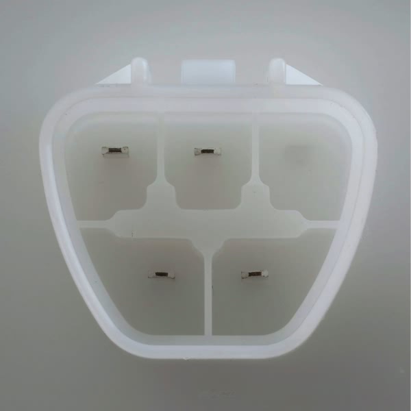 Delphi Fuel Pump Module Assembly FG1639