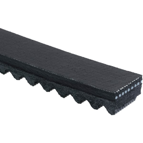 Gates Truck Belt TR22344