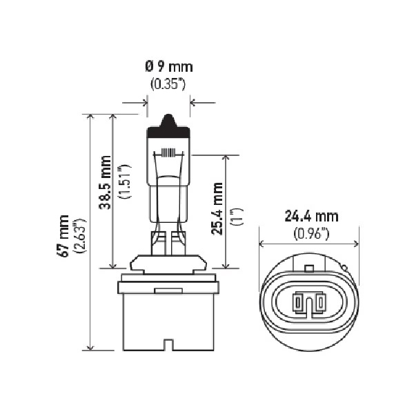 Hella 893 Design Series Halogen Light Bulb H71071192