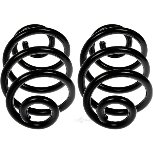 Dorman Rear Coil Springs 926-576