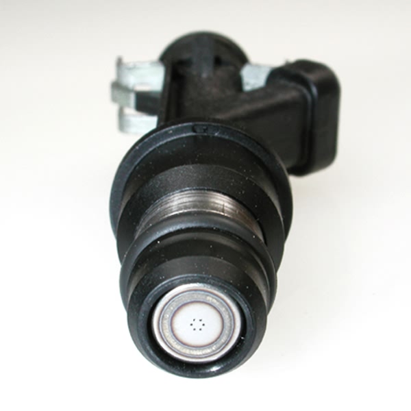 Delphi Fuel Injector FJ10065