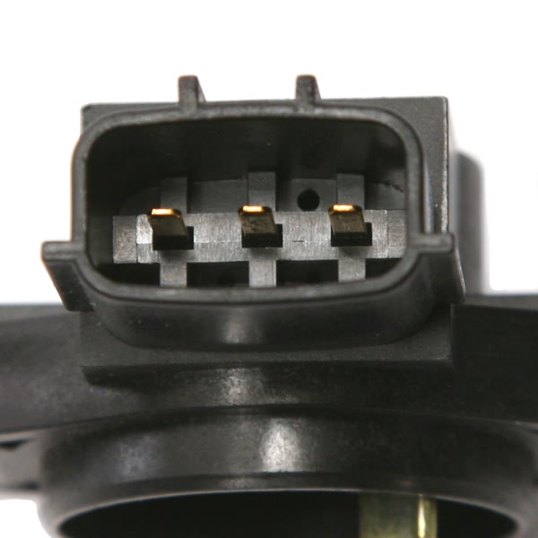 Delphi Throttle Position Sensor SS10314