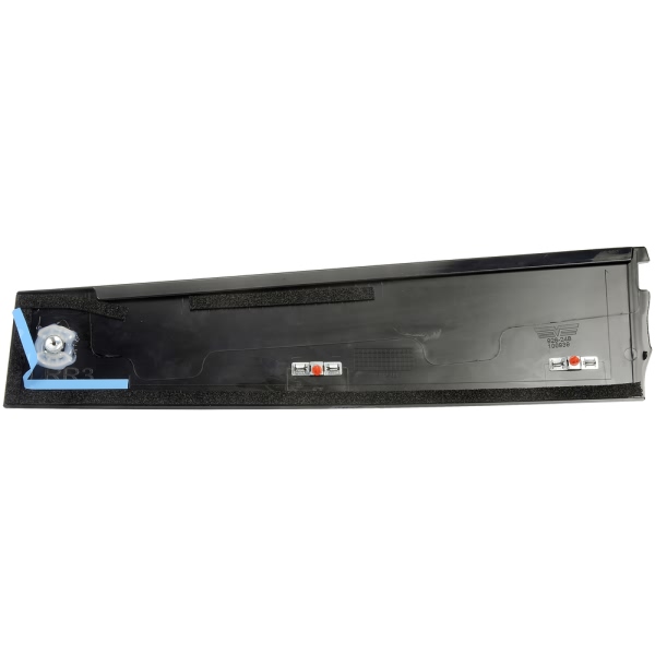 Dorman OE Solutions Rear Passenger Side Door Applique 926-248