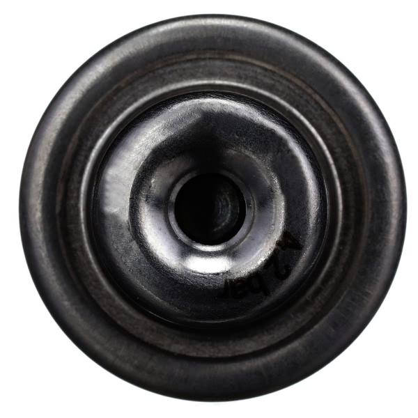 Delphi In Tank Fuel Injection Pressure Regulator FP10530