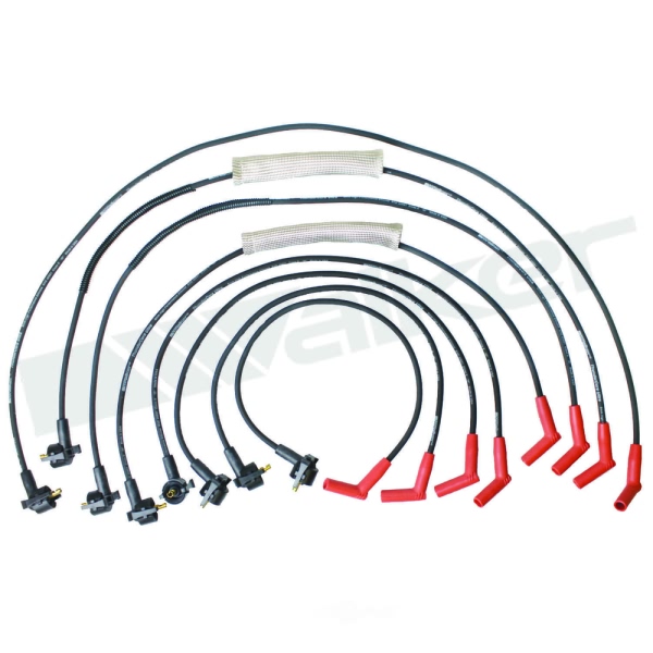 Walker Products Spark Plug Wire Set 924-1806