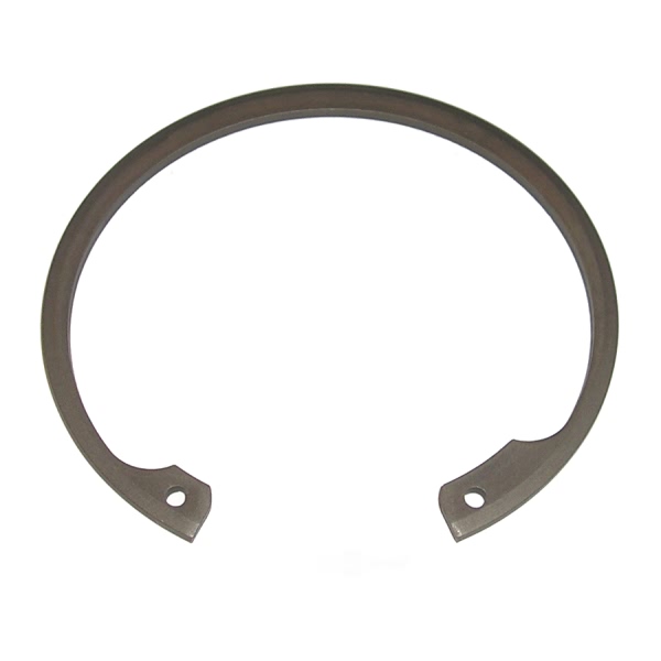 SKF Rear Wheel Bearing Lock Ring CIR259