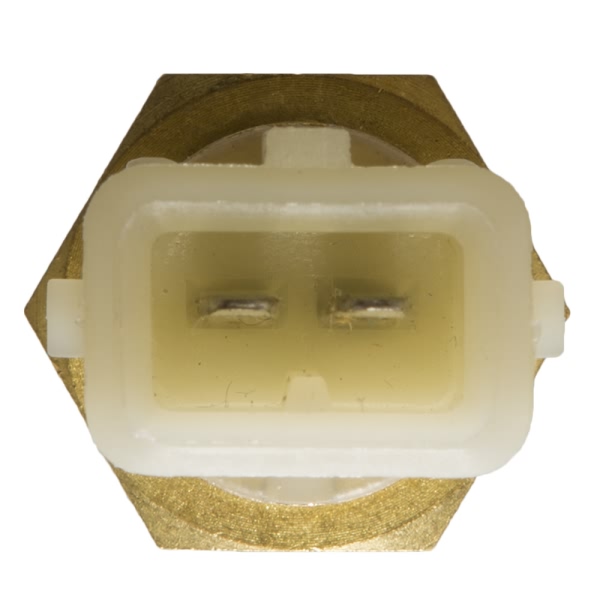 Delphi Coolant Temperature Sensor TS10251