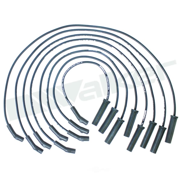 Walker Products Spark Plug Wire Set 924-1411