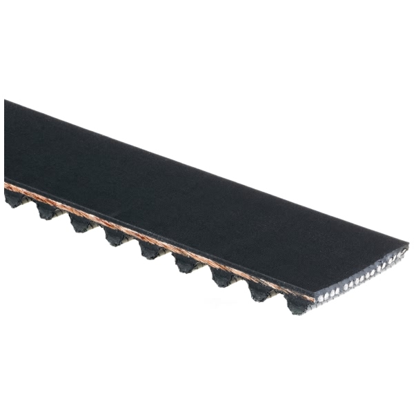 Gates Timing Belt T209