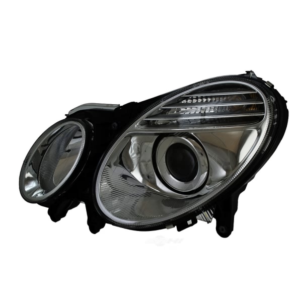 Hella Headlight Assembly 009260051