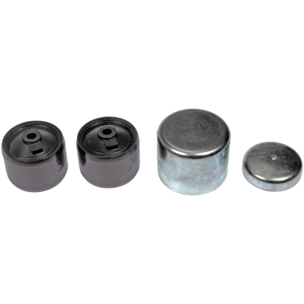 Dorman Rear Regular Axle Support Bushing 523-004