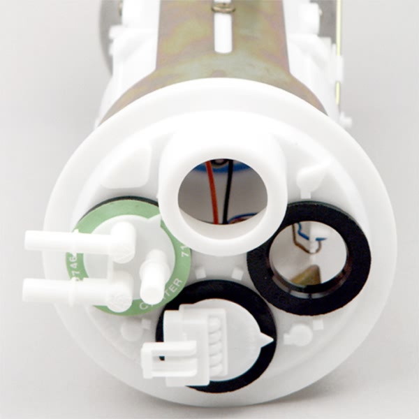 Delphi Fuel Pump Module Assembly FG0221