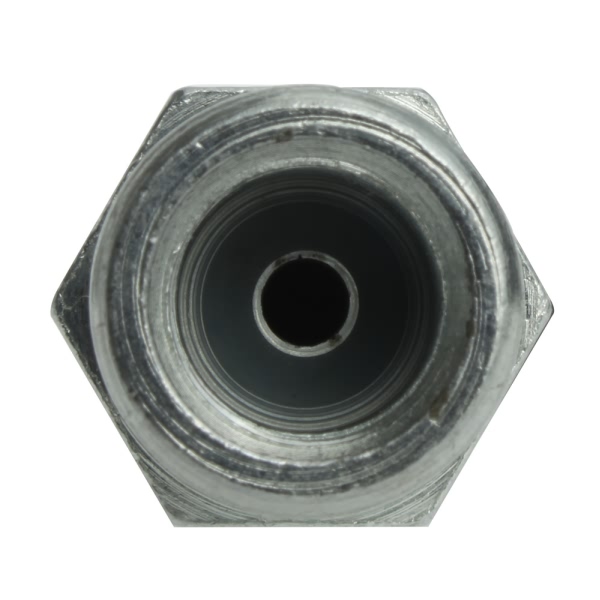 Centric Rear Brake Hose 150.44401