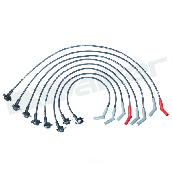 Walker Products Spark Plug Wire Set 924-1605