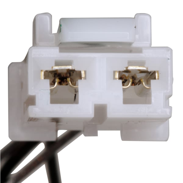 Delphi Fuel Pump Module Assembly FG1252