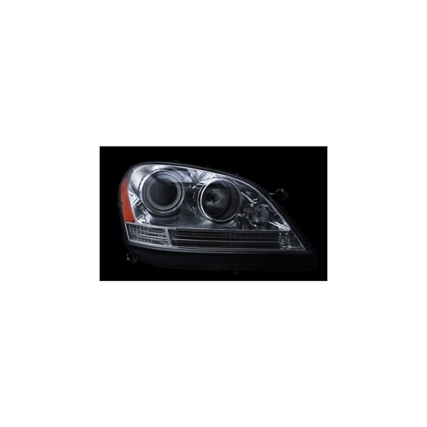 Hella Headlight Assembly 263036061