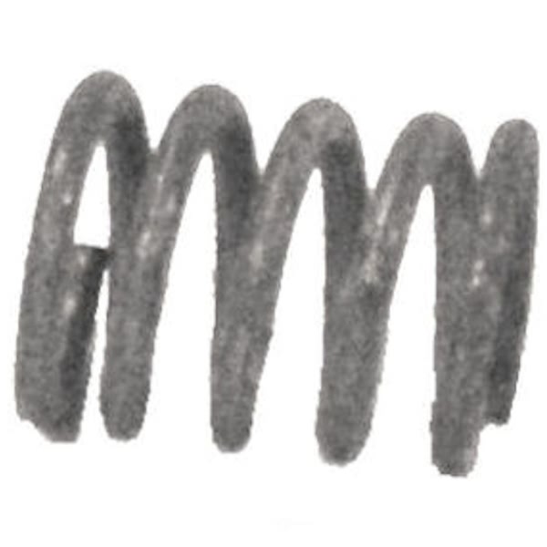 Bosal Manifold Spring 251-807