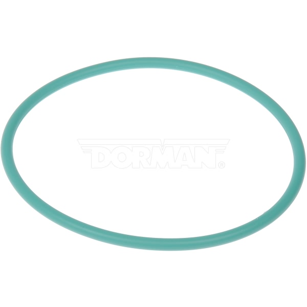 Dorman Fuel Pump Tank Seal 911-245