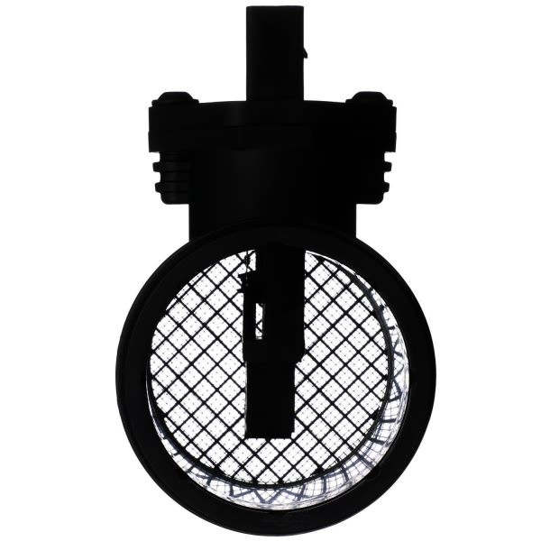Delphi Mass Air Flow Sensor AF10545