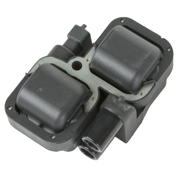 Delphi Ignition Coil GN10361