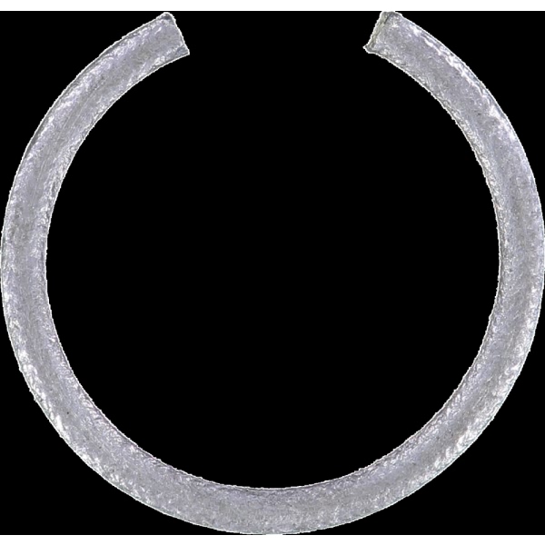 Victor Reinz Rear Crankshaft Seal 71-19722-00