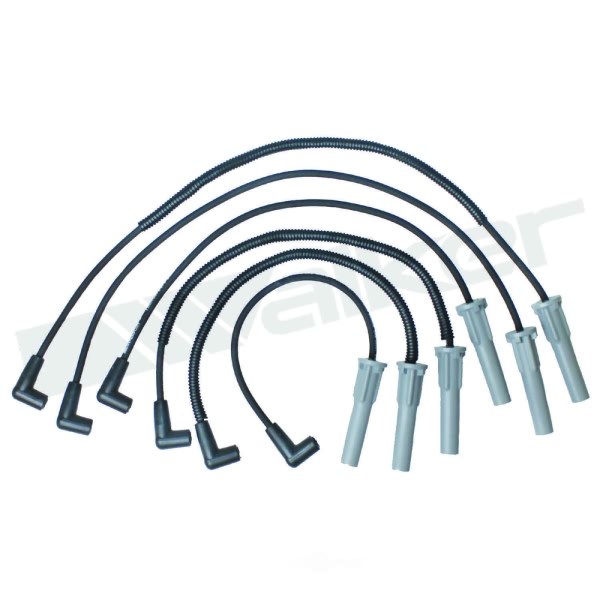 Walker Products Spark Plug Wire Set 924-2082