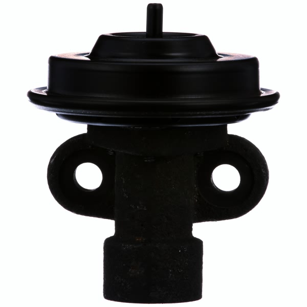 Delphi Egr Valve EG10244