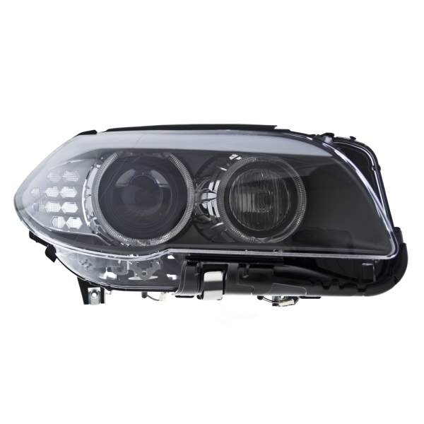 Hella Headlamp - Passenger Side Xen 010131661