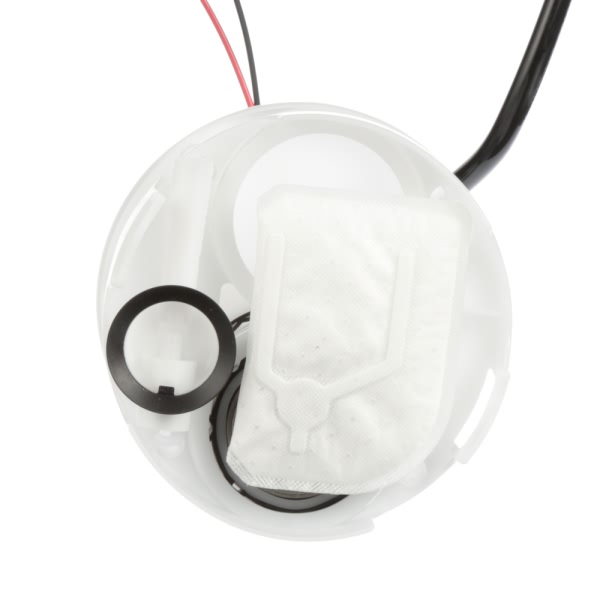 Delphi Fuel Pump And Strainer Set FE0691
