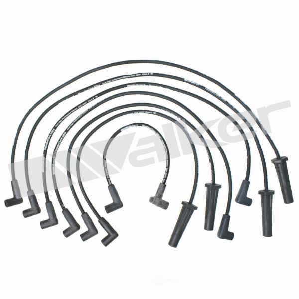 Walker Products Spark Plug Wire Set 924-1355