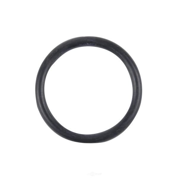 Spectra Premium Fuel Tank Lock Ring LO54