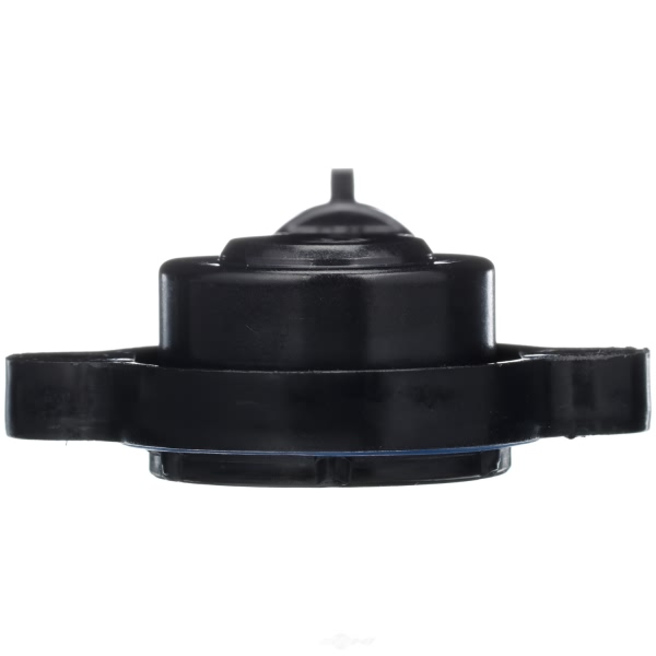 Delphi Throttle Position Sensor SS10382