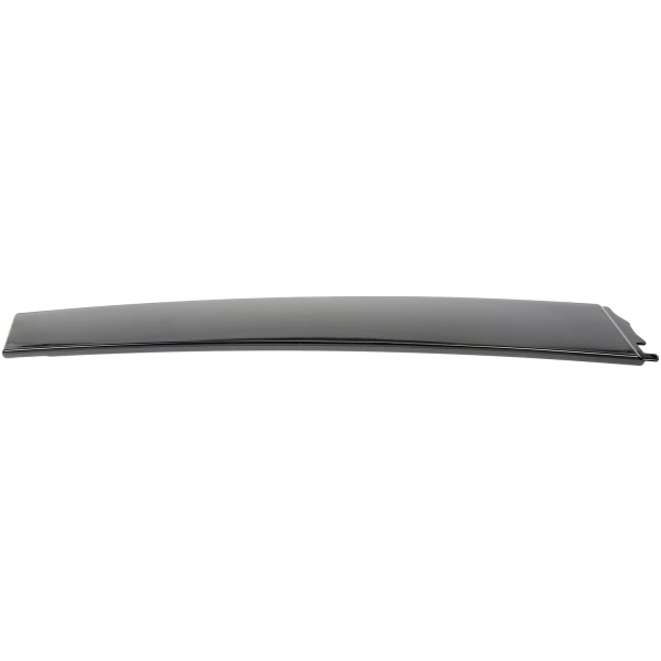 Dorman OE Solutions Rear Passenger Side Door Applique 926-248