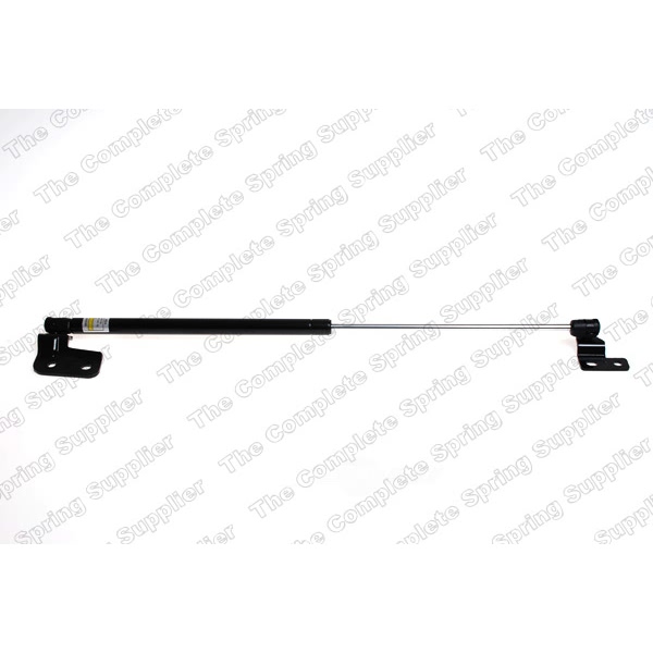 lesjofors Passenger Side Liftgate Lift Support 8144215