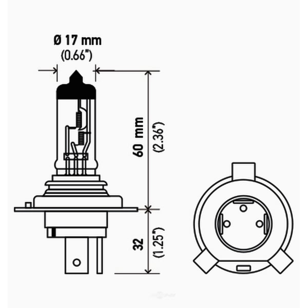 Hella Hs1Tb Standard Series Halogen Light Bulb HS1TB