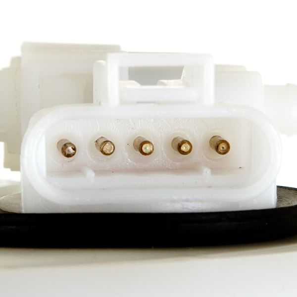 Delphi Fuel Pump Module Assembly FG0200