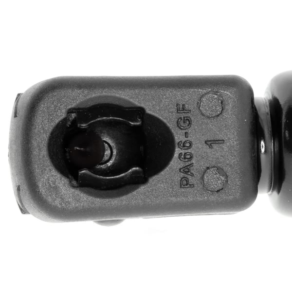 VAICO Liftgate Lift Support V10-1927