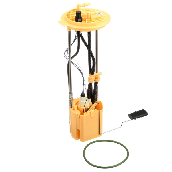 Delphi Fuel Pump Module Assembly FG1663